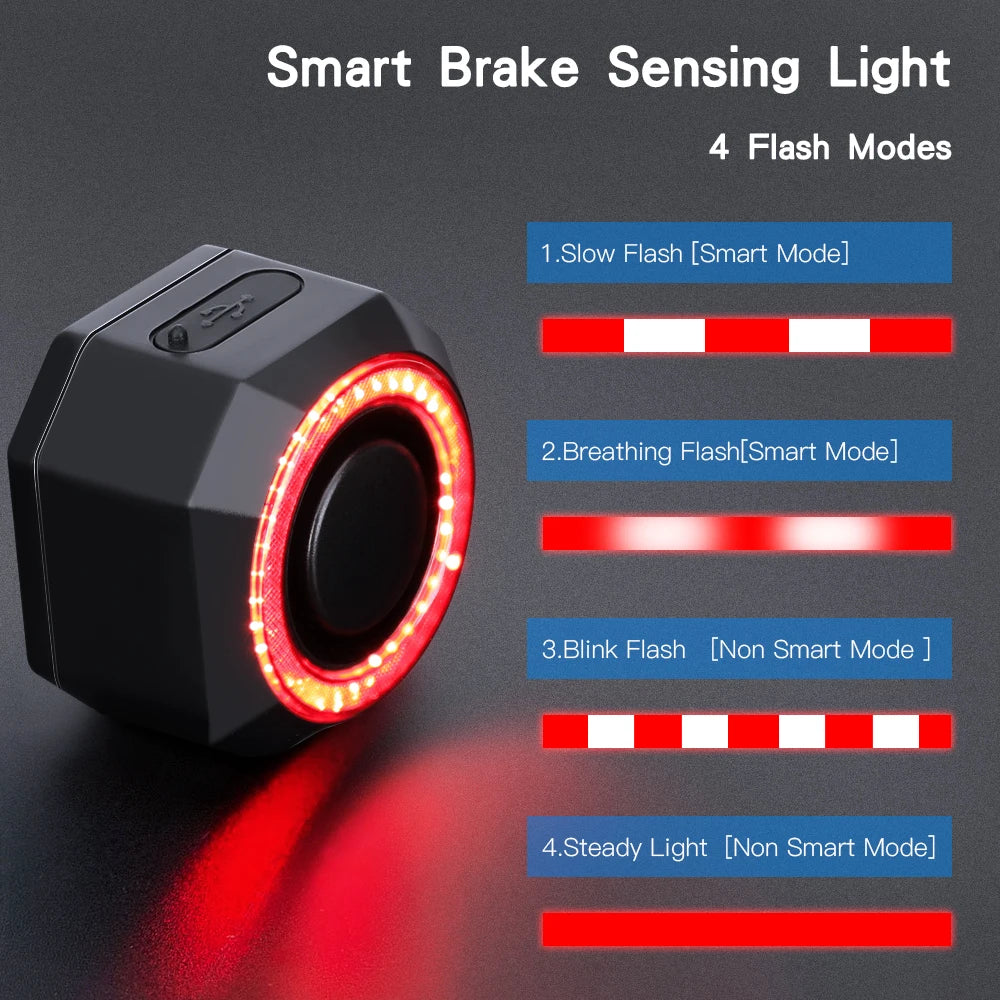 Waterproof Bike Taillight Burglar Alarm